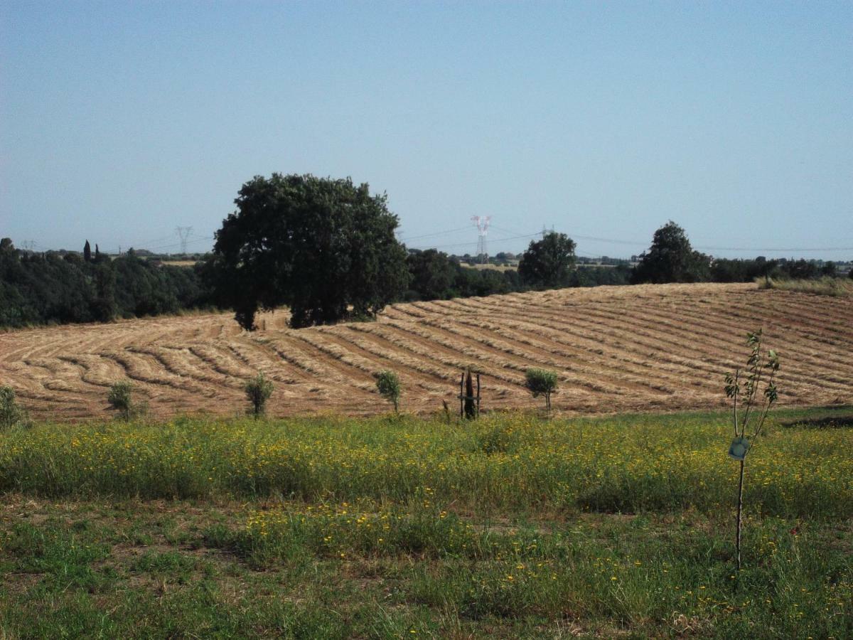 Poderi Di 트라글리아텔라 외부 사진